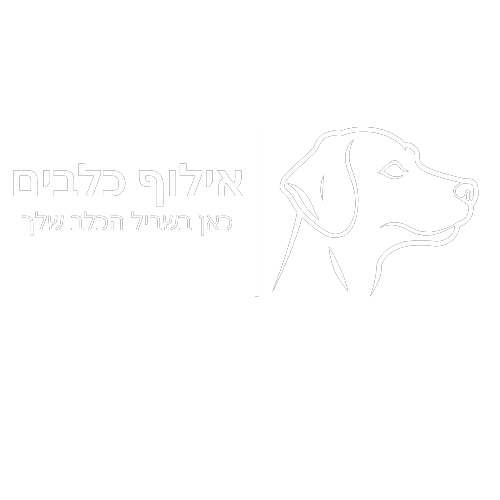 אילוף_כלבים-removebg-preview